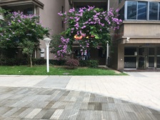 五缘湾源昌鑫海湾别墅,湖里沿海一排,