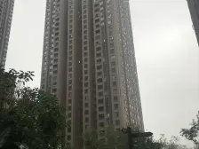 央企保利大盘+鸿恩寺森林公园+次新楼盘+带产权车位