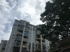 新装修5房 三面采光 无遮挡 看海景 南北通透