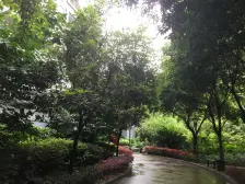 新牌坊 近新光天地 近3条轻轨线 户型方正总价低