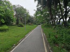 万科四季花城 3室2厅 东南