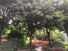 加州新牌坊 佳乐园二房