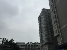 神仙树6号院1室1厅西北