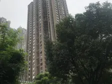 观音桥次新房,9号线轻轨,鸿恩寺公园精装4房双卫