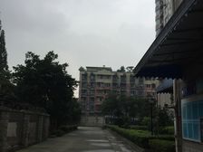 神仙树6号院1室1厅西北
