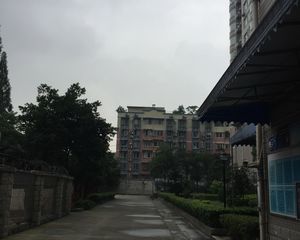 神仙树6号院1室1厅南