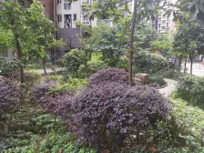 出行方便 采光好带外阳台 明厨明卫通风好