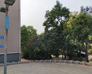 奎文市中 近万达泰华 大H户型,双卫