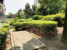 曙建路新上!南北两房,房东诚意出售