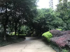 双碑 金杜洋光二房38万