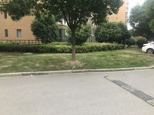 小区Only1在售横厅两房,诚售!