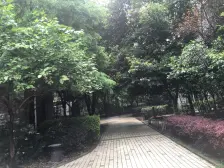 双碑 金杜洋光二房35万