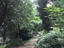 小区环境好,设施齐全,出行方便