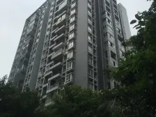 金杜洋光 2室1厅 西