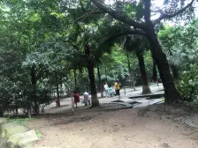 双碑 金杜洋光二房38万