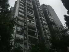 双碑 金杜洋光二房52万