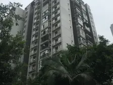 金杜洋光,一室一厅,户型好,中间楼层,朝向好。