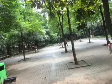 金杜洋光,一室一厅,户型方正,采光好