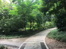 双碑 金杜洋光二房