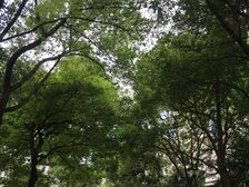 近地铁,无抵押电梯房入住快,新上房源