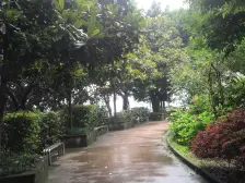 双碑 金杜洋光三房