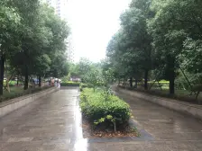 近地铁,产权清晰,通风好,电梯房,新上房源