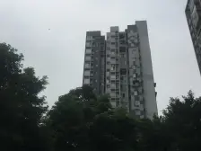 双碑 金杜洋光一房26万