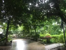 双碑 金杜洋光三房69万