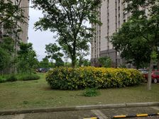 二梯四户,电梯房,主卧朝南,小户型,交通便利