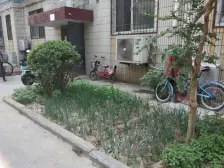 户型合理,通透,双气,距离郑州中 学近,总价低