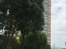 第五园成熟社区,生活便利,此房户型方正,采光充足