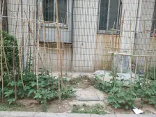 郑州中学家属院 双气 三面朝南 采光好 户型方正 诚售