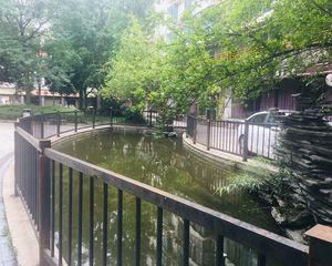 鹃城雅舍3室2厅东南