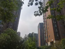 北龙湖旁非 常国际 双气四居 人车分流绿化好 地暖