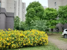 电梯房,大开间,品质小区,精装修,诚意出售