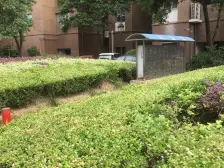 明日星城第五园 2室2厅 南
