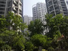 不临路,安静,阳台阔绰,居住舒适度高,诚售可看