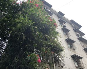 玉林东街13号2室1厅南