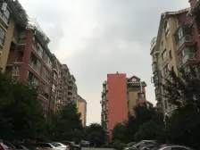 紫金园一期 南北通透,采光好 装修好,环镜优美 近地铁 视野好,诚心出售