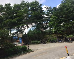 中央盛景复试两房视野开阔体育馆旁