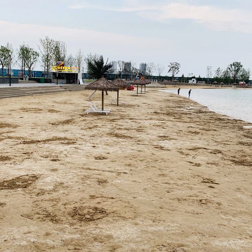 恒大御海天下2室1厅1卫南朝向1000.00元/月出租