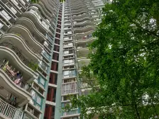 金桥彼岸精装两房,出门方便,住家安静