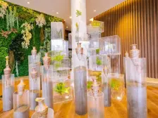 蔡家 保亿御景玖园二期三房235万