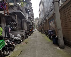 双林路101号院2室1厅东西