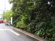 人和 耀文凯旋星座一房