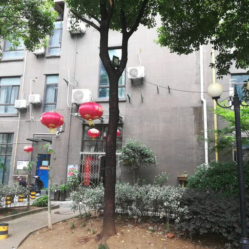 ¾²°²Êï¹âÑÅÔ·1ÊÒ1Ìü1ÎÀÄϳ¯Ïò1800.00Ôª/Ô³ö×â