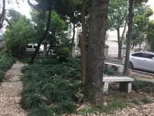 房子是一楼 继承过来的 卖掉房子 几个人分钱