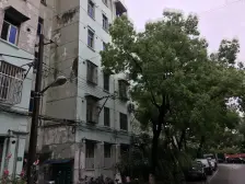 税费少,双南户型,户型正气,位置和楼层俱佳