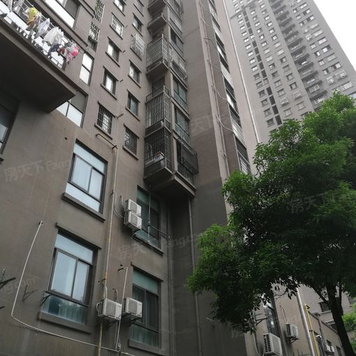 ¾²°²Êï¹âÑÅÔ·3ÊÒ2Ìü1ÎÀÄϳ¯Ïò4000.00Ôª/Ô³ö×â