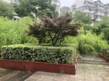 民东公寓 3室2厅 南 北